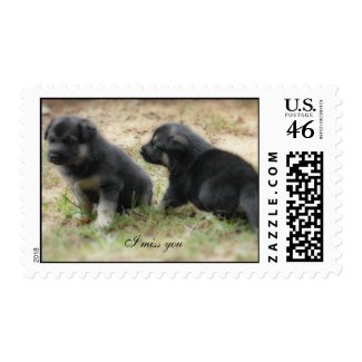 I Miss You Postage Stamp stamp