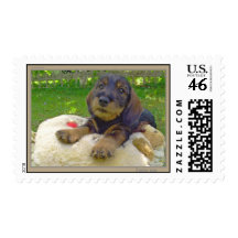 I miss you postage stamp