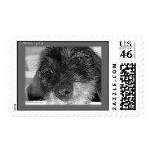 I miss you postage stamp