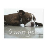 I miss you post cards