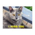 I MISS YOU postcards by MOMKAY I MISS YOU postcards