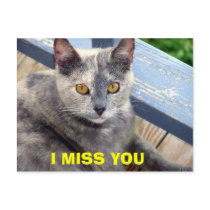 I MISS YOU postcards by MOMKAY I MISS YOU postcards