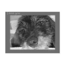 I miss you postcards by Rainmountain I miss you postcards
