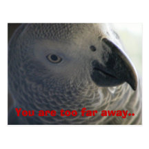 I miss you Postcard