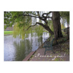 I miss you Postcard