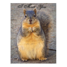 I Miss You_ Postcard_by Elenne Boothe