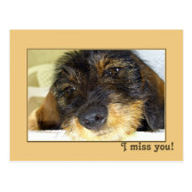 I miss you postcards