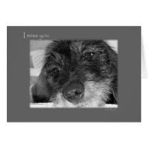 I miss you - sad Dachshund Postcard