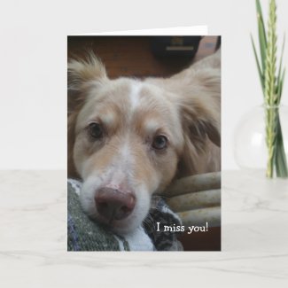 I miss you! sad dog photo card