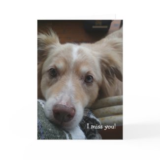 I miss you! sad dog photo card