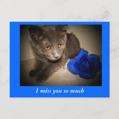 i miss you very much. I miss you so much post card