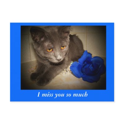 i miss you very much. I miss you so much post card