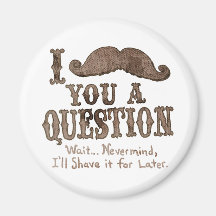 I Moustache a Question Magnet