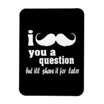 I mustache you a question vinyl magnets