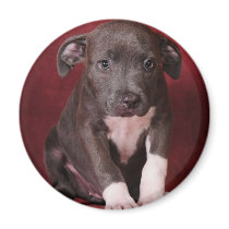 I need a loving home magnets by lover196969 I need a loving home magnets