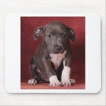 I need a loving home mouse mats