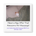 I Need a Nap After That Awesome Pet M... magnets by Dianka6 I Need a Nap After That Awesome Pet M... magnets