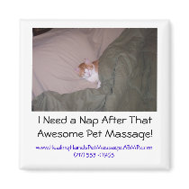 I Need a Nap After That Awesome Pet M... magnets
