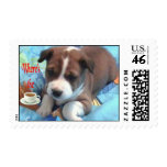 I need Coffee Postage