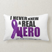 I NEVER knew a REAL hero pillows