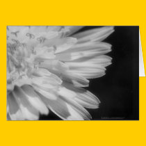'I No Longer Seek To Be Understood' Card cards