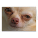 I Only Have Eyes For You cards by chessmoves I Only Have Eyes For You cards