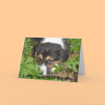 I only have eyes for you cards by pattycake I only have eyes for you cards