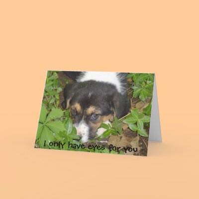 I only have eyes for you greeting card by pattycake