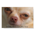 I Only Have Eyes For You posters by chessmoves I Only Have Eyes For You posters
