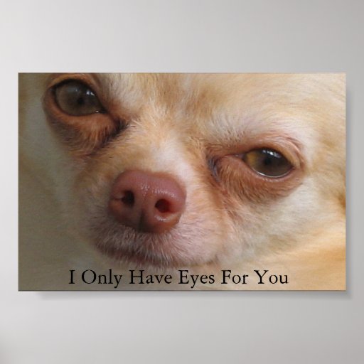 I Only Have Eyes For You Poster | Zazzle