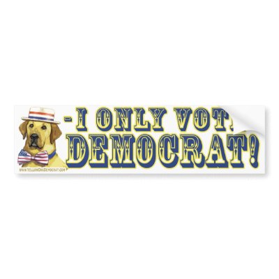 I Only Vote Yellow Dog Democrat  Bumper Sticker  by yellowdogdemocrat