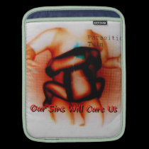 i-Pad1(skinny sleeve)1 ipad sleeves