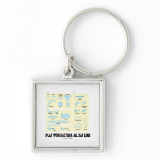 I Play With Bacteria All Day Long (Morphology) Key Chains