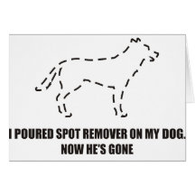 I poured Spot remover on my dog. Now he's gone Cards