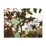 ((I profit from the bad state the world is in)) Post Cards