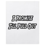 I Promise I'll Pull Out flyers