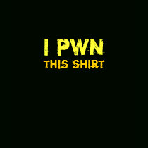 I pwn this shirt