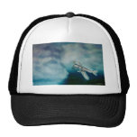I reached up hat