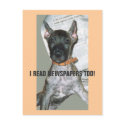 I READ NEWSPAPERS TOO! postcards by KABSANNIE I READ NEWSPAPERS TOO! postcards