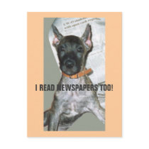 I READ NEWSPAPERS TOO! postcards by KABSANNIE I READ NEWSPAPERS TOO! postcards