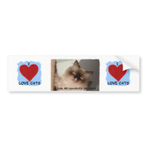 I REALLY LOVE CATS bumper stickers