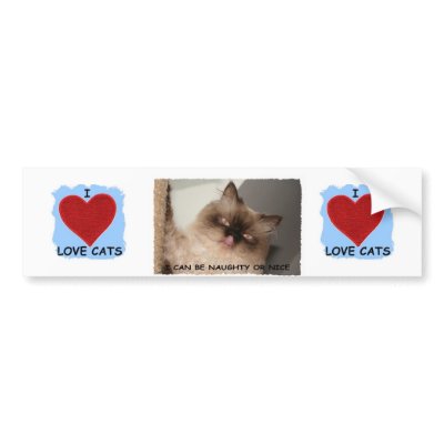 I REALLY LOVE CATS BUMPER STICKER by SUNZUP4U
