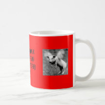 I Reject Your Reality And Substitute My Own Mug