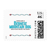 I Rescued a Bernese Mountain Dog (Male Dog) Stamps