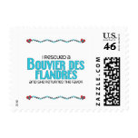 I Rescued a Bouvier des Flandres (Female Dog) postage