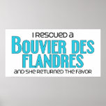 I Rescued a Bouvier des Flandres (Female Dog) Print