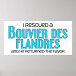 I Rescued a Bouvier des Flandres (Male Dog) Posters