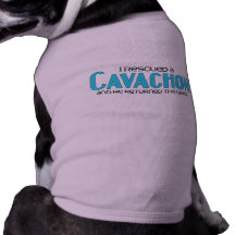 Cavachon Rescue