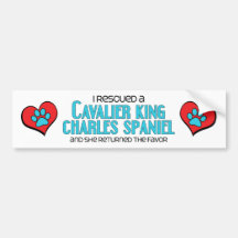 I Rescued a Cavalier King Charles Spaniel (Female) Bumper Sticker