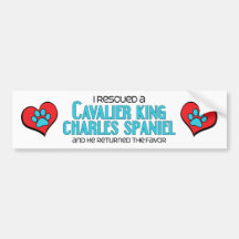 I Rescued a Cavalier King Charles Spaniel (Male) Bumper Stickers